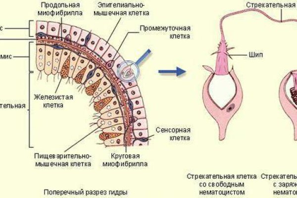 Kra16.at