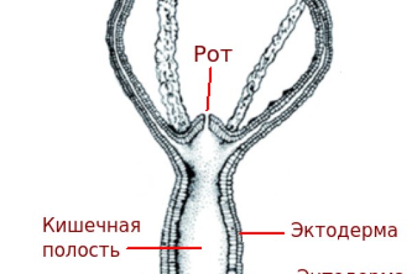Кракен что можно купить